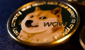 What are meme coins, and How to Buy Dogecoin in UAE?